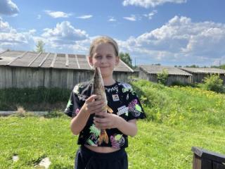 2-этажный дом, 62 м², 8 соток