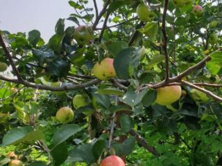 2-этажный дом, 100 м², 30 соток