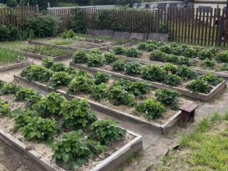  дом, 48 м², 10 соток