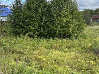 Купить земельный участок, 20 соток