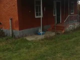  дом, 88 м², 25 соток