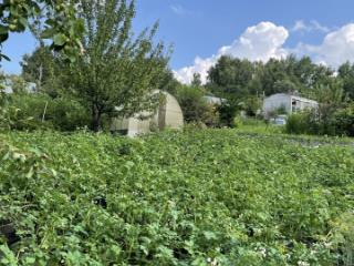 1-этажный дом, 30 м², 8 соток