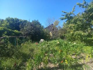 1-этажный дом, 95.1 м², 9.94 соток