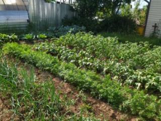 2-этажный дом, 40 м², 4 сотки