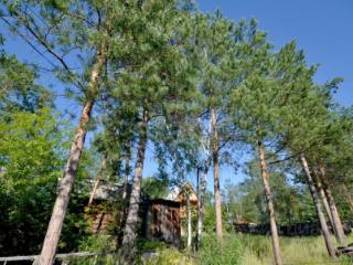 1-этажный дом, 30.8 м², 8.1 соток