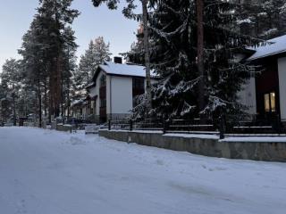  дом, 261 м², 11 соток