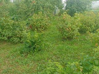  коттедж, 10 м², 11 соток