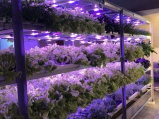 2-этажный дом, 229.8 м², 6.6 соток