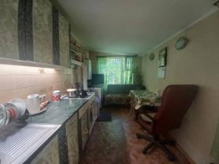 1-этажный дом, 95.1 м², 9.94 соток