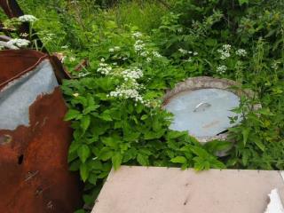  коттедж, 50 м², 10 соток