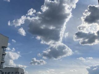 Студия, 40 м², 12/14 этаж