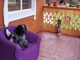 2-этажный дом, 136 м², 15 соток