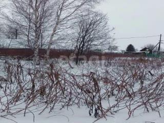 1-этажный дом, 24.2 м², 10.6 соток