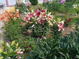 1-этажный дом, 94.5 м², 12.3 соток