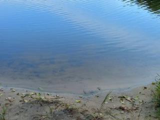 1-этажный дом, 56.4 м², 8.5 соток