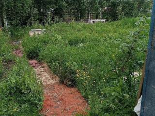  коттедж, 20 м², 6 соток