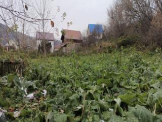 1-этажный дом, 39.8 м², 15 соток