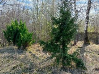 1-этажный дом, 40 м², 15 соток