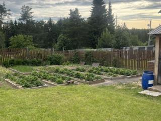  дом, 48 м², 10 соток