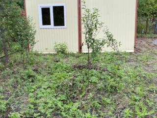 1-этажный дом, 30 м², 5.8 соток