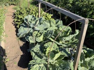 2-этажный дом, 104.4 м², 8.2 соток