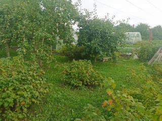  коттедж, 10 м², 11 соток