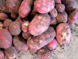  дом, 30 м², 6 соток