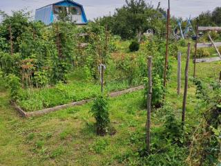  коттедж, 45.8 м², 11 соток