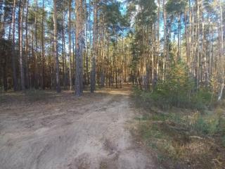 1-этажный дом, 20 м², 6 соток