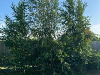 3-этажный коттедж, 307.6 м², 17.6 соток