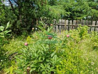 1-этажный дом, 45 м², 17 соток