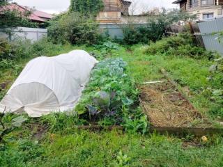 1-этажный дом, 41.9 м², 3 сотки