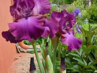 1-этажный дом, 56.4 м², 8.5 соток