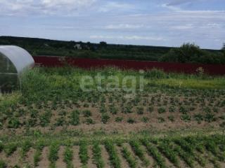 2-этажный дом, 224 м², 32 сотки