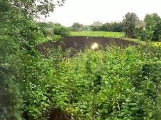 1-этажный дом, 32.4 м², 25 соток