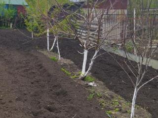  дом, 40 м², 12 соток