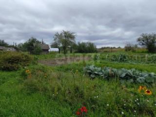 1-этажный дом, 30.7 м², 7 соток