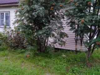 1-этажный дом, 31 м², 19.6 соток