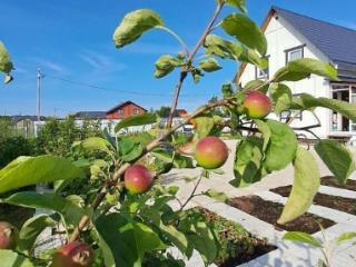 2-этажный дом, 140 м², 12 соток