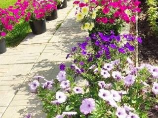 Продам земельный участок, 10 соток