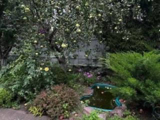 2-этажный дом, 240 м², 13.37 соток