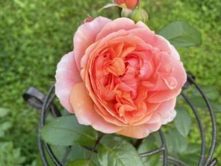 1-этажный дом, 23 м², 9 соток