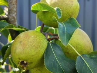 2-этажный дом, 140 м², 12 соток