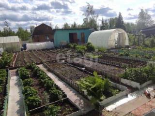 1-этажный дом, 24 м², 5.2 соток