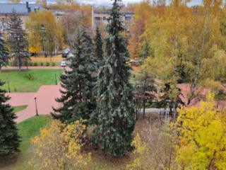 2-комн. квартира, 55 м², 6/10 этаж