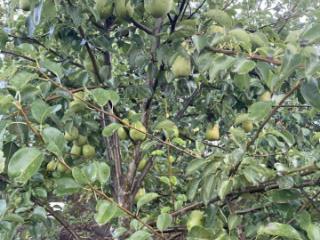 2-этажный дом, 18 м², 6 соток