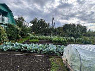 1-этажный дом, 26 м², 8 соток