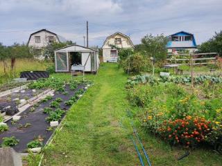  коттедж, 45.8 м², 11 соток