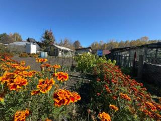 2-этажный дом, 125 м², 8.5 соток