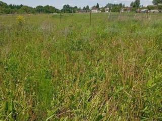 1-этажный дом, 76.3 м², 23 сотки